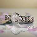 Часы Tissot Bellissima Small Lady T126.010.22.013.01 фото 9